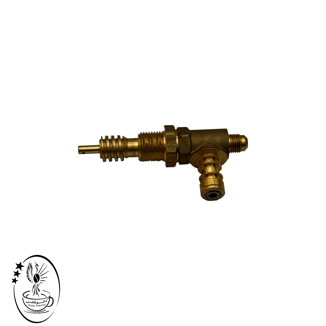 شیر بخار برزیلیا