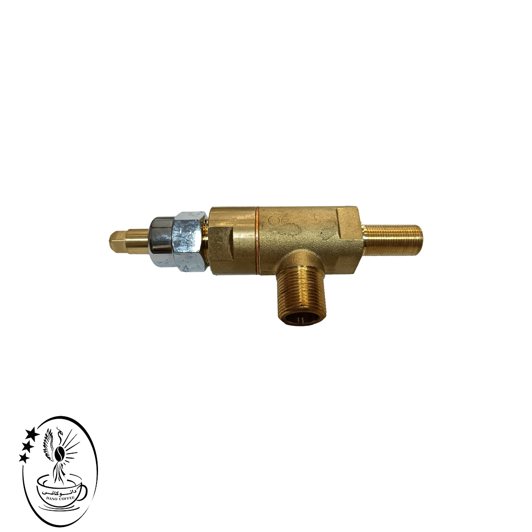 شیر بخار بیزرا